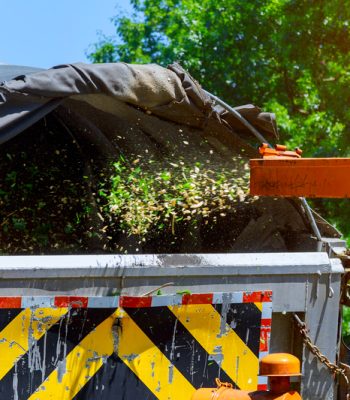 dreamstime_s_141976971