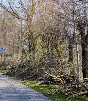 dreamstime_s_144227117