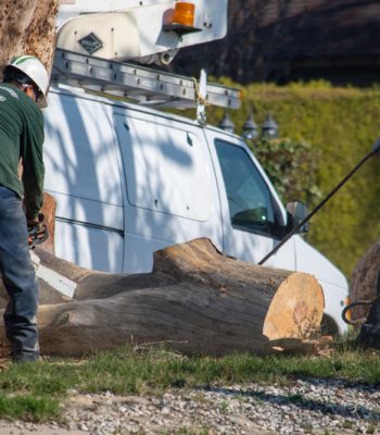 dreamstime_s_171167335