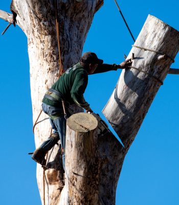 dreamstime_s_171167438